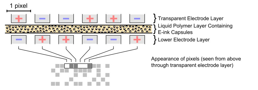  Schematic representation of an EPD cross-section 
